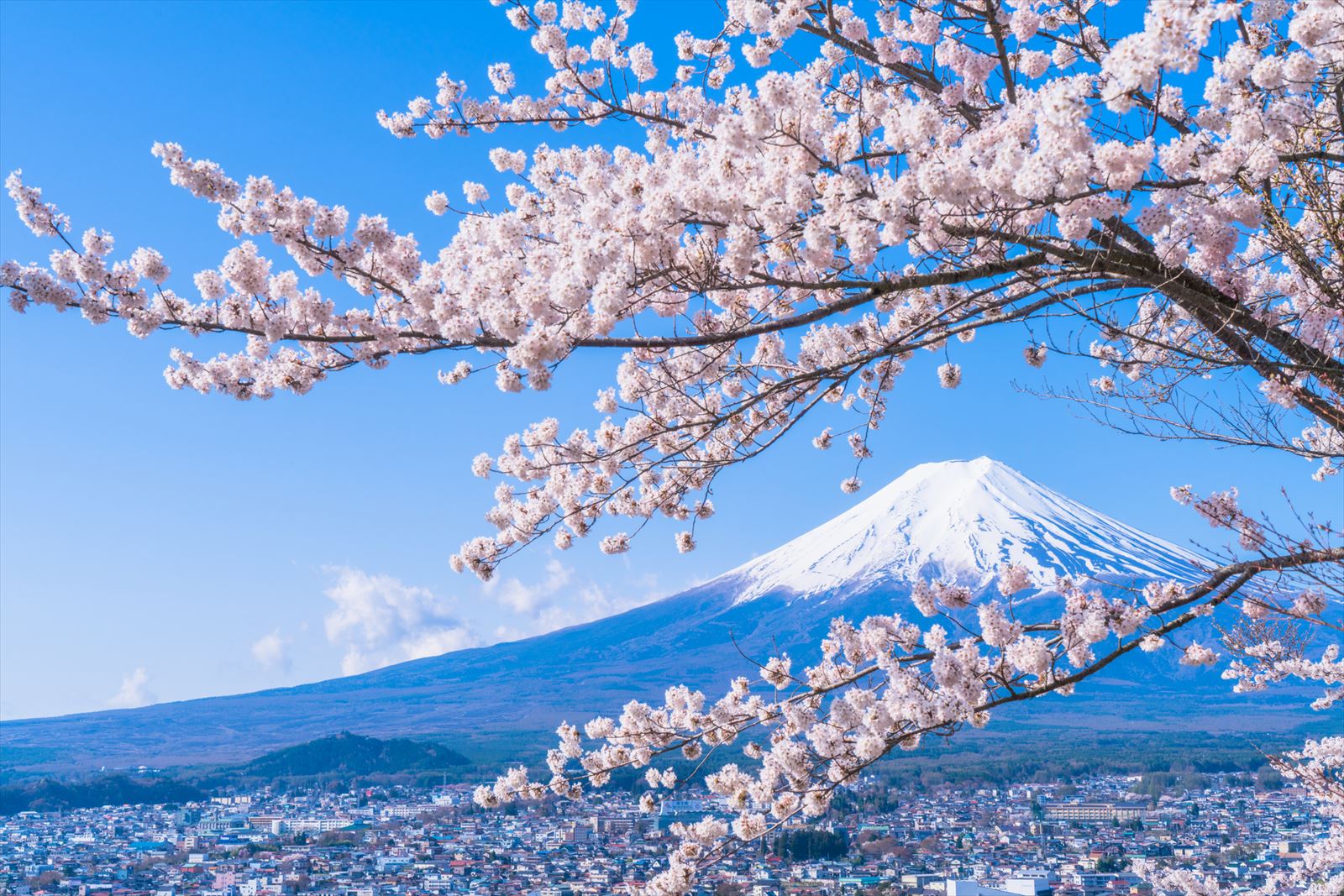 年の瀬